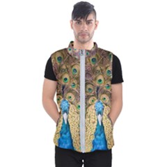 Peacock Feather Peacock Feather Men s Puffer Vest by Pakrebo