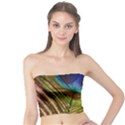 Peacock Feather Colorful Peacock Tube Top View1