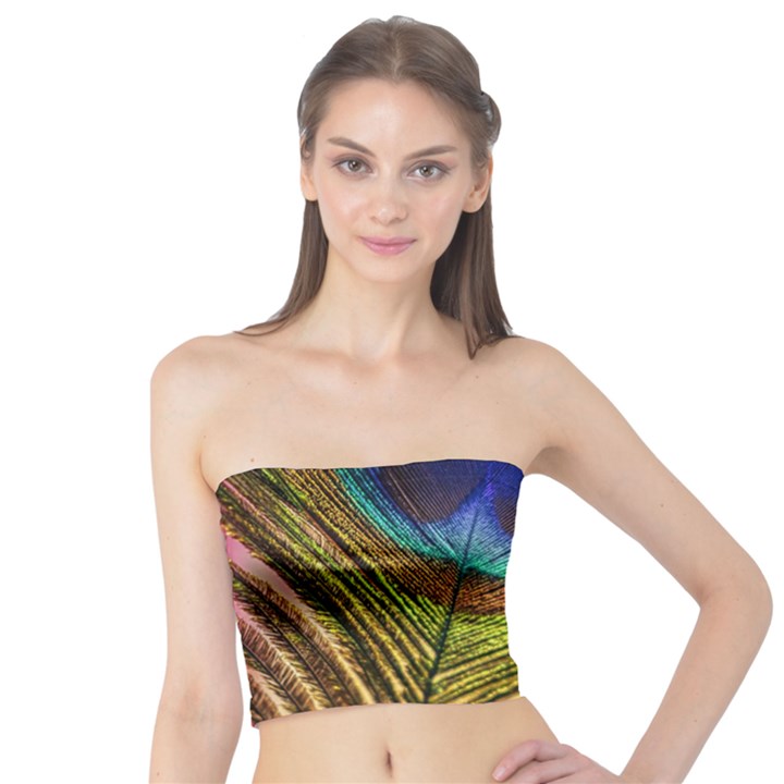 Peacock Feather Colorful Peacock Tube Top