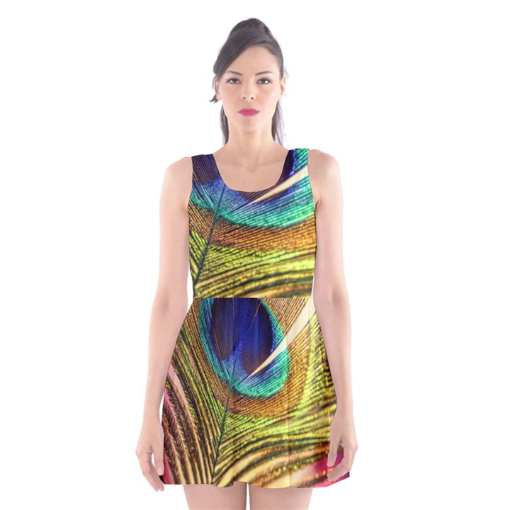 Peacock Feather Colorful Peacock Scoop Neck Skater Dress