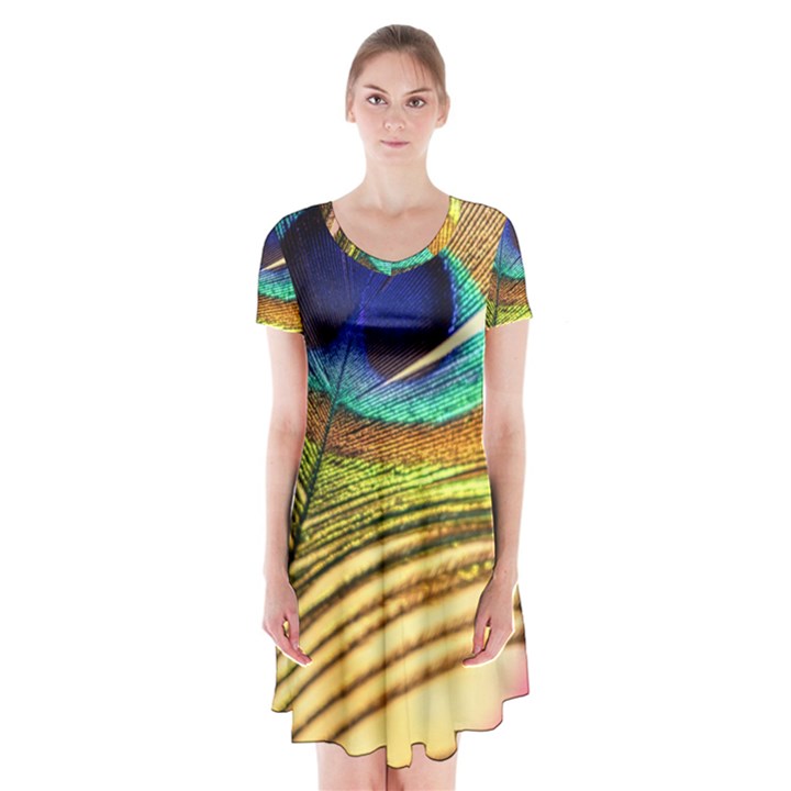 Peacock Feather Colorful Peacock Short Sleeve V-neck Flare Dress