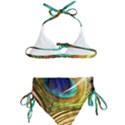 Peacock Feather Colorful Peacock Kids  Classic Bikini Set View2