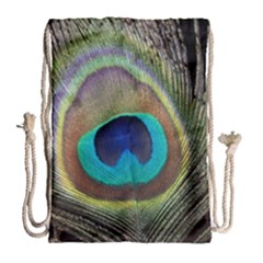 Peacock Feather Close Up Macro Drawstring Bag (Large)