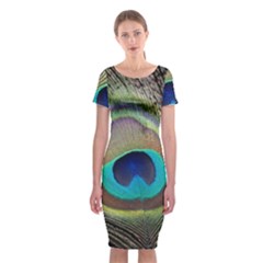 Peacock Feather Close Up Macro Classic Short Sleeve Midi Dress