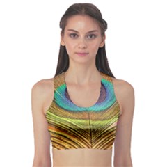 Peacock Feather Bird Colorful Sports Bra by Pakrebo