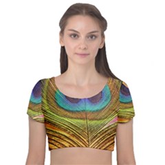 Peacock Feather Bird Colorful Velvet Short Sleeve Crop Top  by Pakrebo