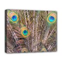 Pen Peacock Wheel Plumage Colorful Deluxe Canvas 20  x 16  (Stretched) View1