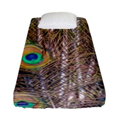 Pen Peacock Wheel Plumage Colorful Fitted Sheet (single Size) by Pakrebo