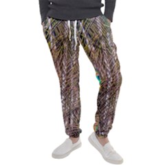 Pen Peacock Wheel Plumage Colorful Men s Jogger Sweatpants