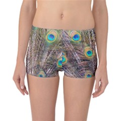 Pen Peacock Wheel Plumage Colorful Reversible Boyleg Bikini Bottoms by Pakrebo