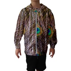 Pen Peacock Wheel Plumage Colorful Kids  Hooded Windbreaker by Pakrebo