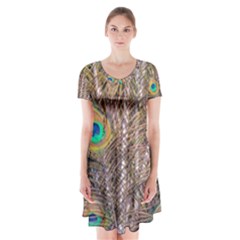 Pen Peacock Wheel Plumage Colorful Short Sleeve V-neck Flare Dress by Pakrebo