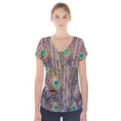 Pen Peacock Wheel Plumage Colorful Short Sleeve Front Detail Top by Pakrebo