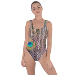 Pen Peacock Wheel Plumage Colorful Bring Sexy Back Swimsuit by Pakrebo