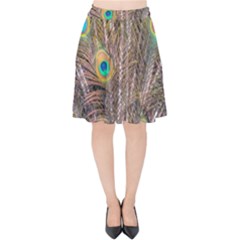 Pen Peacock Wheel Plumage Colorful Velvet High Waist Skirt by Pakrebo