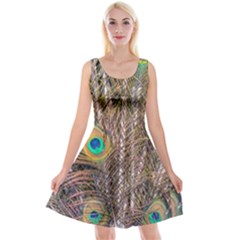 Pen Peacock Wheel Plumage Colorful Reversible Velvet Sleeveless Dress by Pakrebo