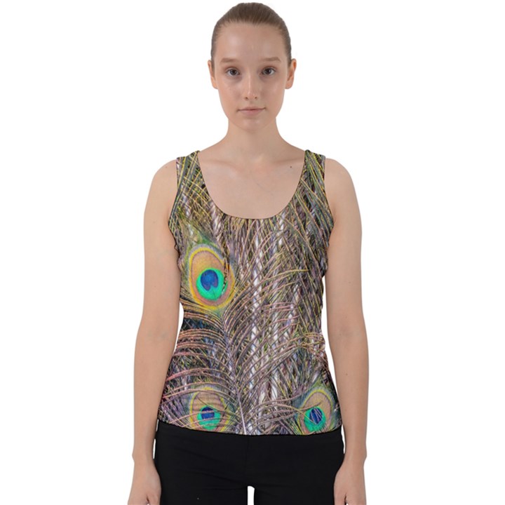 Pen Peacock Wheel Plumage Colorful Velvet Tank Top