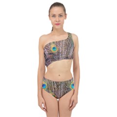 Pen Peacock Wheel Plumage Colorful Spliced Up Two Piece Swimsuit by Pakrebo