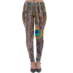 Pen Peacock Wheel Plumage Colorful Lightweight Velour Leggings by Pakrebo