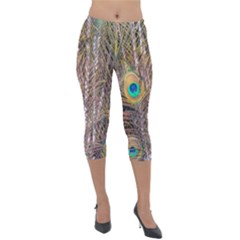 Pen Peacock Wheel Plumage Colorful Lightweight Velour Capri Leggings  by Pakrebo