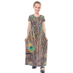 Pen Peacock Wheel Plumage Colorful Kids  Short Sleeve Maxi Dress by Pakrebo