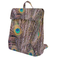 Pen Peacock Wheel Plumage Colorful Flap Top Backpack