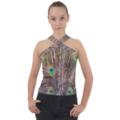 Pen Peacock Wheel Plumage Colorful Cross Neck Velour Top by Pakrebo