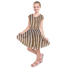 Skin Zebra Striped White Brown Kids  Short Sleeve Dress by Pakrebo