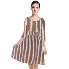 Skin Zebra Striped White Brown Quarter Sleeve Waist Band Dress by Pakrebo