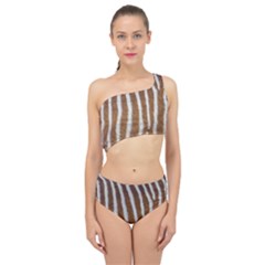 Skin Zebra Striped White Brown Spliced Up Two Piece Swimsuit by Pakrebo