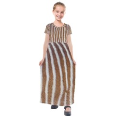 Skin Zebra Striped White Brown Kids  Short Sleeve Maxi Dress by Pakrebo