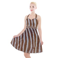 Skin Zebra Striped White Brown Halter Party Swing Dress  by Pakrebo