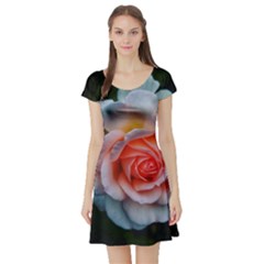 Favorite Rose  Short Sleeve Skater Dress by okhismakingart