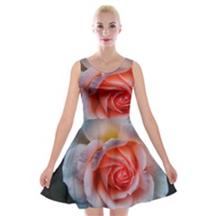 Favorite Rose  Velvet Skater Dress by okhismakingart