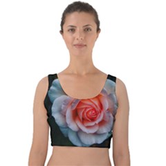 Favorite Rose  Velvet Crop Top by okhismakingart