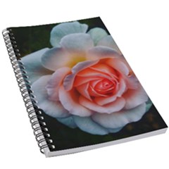 Favorite Rose  5 5  X 8 5  Notebook by okhismakingart