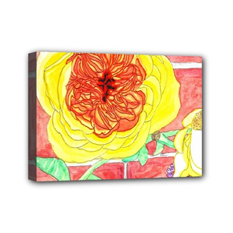 Reid Hall Rose Watercolor Mini Canvas 7  X 5  (stretched) by okhismakingart