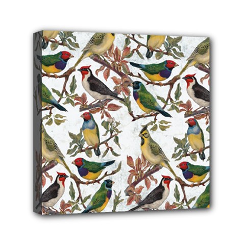 Vintage Birds Mini Canvas 6  X 6  (stretched) by Valentinaart