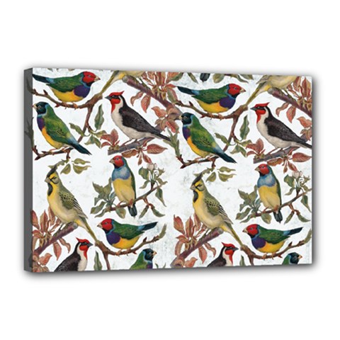 Vintage Birds Canvas 18  X 12  (stretched) by Valentinaart