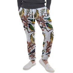 Vintage Birds Men s Jogger Sweatpants