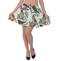 Vintage Birds Velvet Skater Skirt by Valentinaart