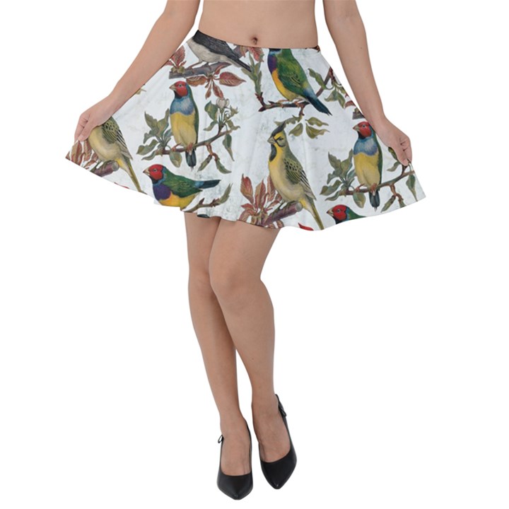 Vintage Birds Velvet Skater Skirt