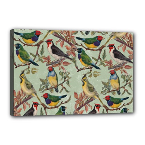 Vintage Birds Canvas 18  X 12  (stretched) by Valentinaart