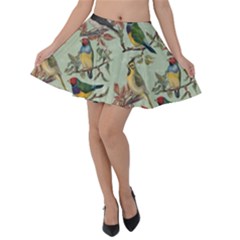 Vintage Birds Velvet Skater Skirt by Valentinaart