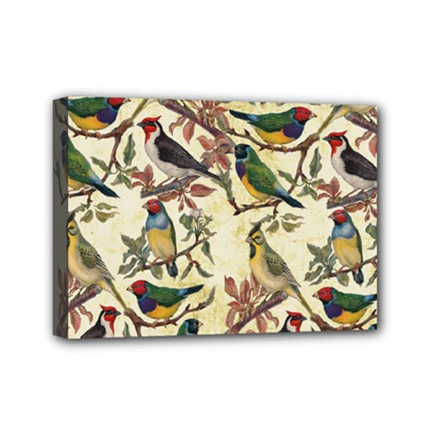 Vintage Birds Mini Canvas 7  X 5  (stretched) by Valentinaart