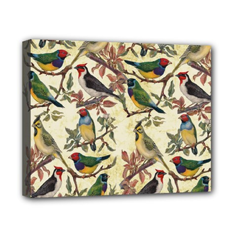 Vintage Birds Canvas 10  X 8  (stretched) by Valentinaart