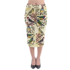 Vintage Birds Midi Pencil Skirt by Valentinaart