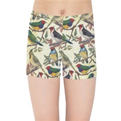 Vintage Birds Kids  Sports Shorts by Valentinaart