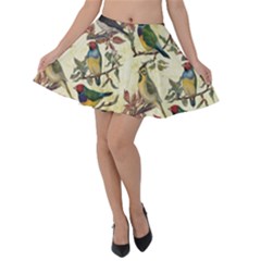 Vintage Birds Velvet Skater Skirt by Valentinaart