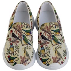 Vintage Birds Kids  Lightweight Slip Ons by Valentinaart